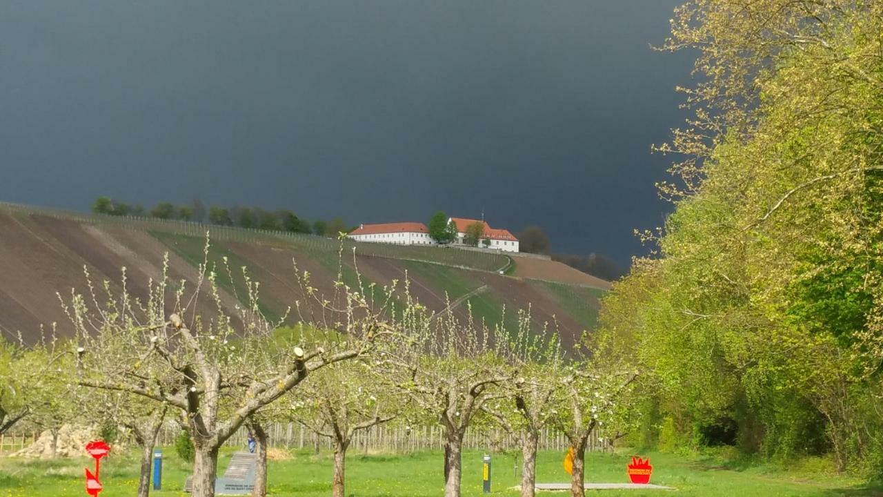 Gasthaus Zur Sonne Nordheim am Main Exteriör bild